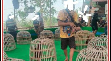 Di Tengah Hukum yang Lumpuh, Arena Judi di Jombang Raup Ratusan Juta Tanpa Sentuhan Polisi